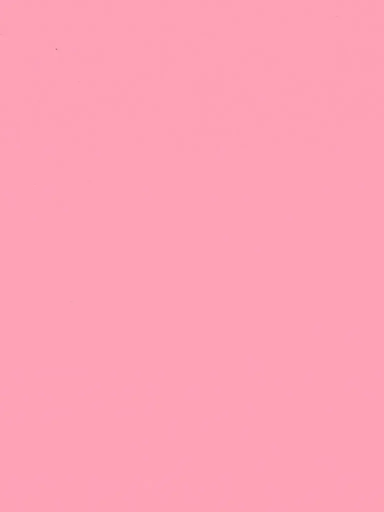 Dekorfolie Rosa Flamingo