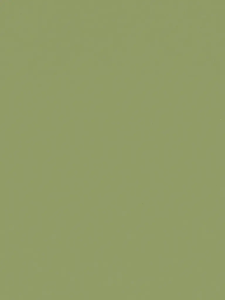 Dekorfolie Olive Grün (RM19)