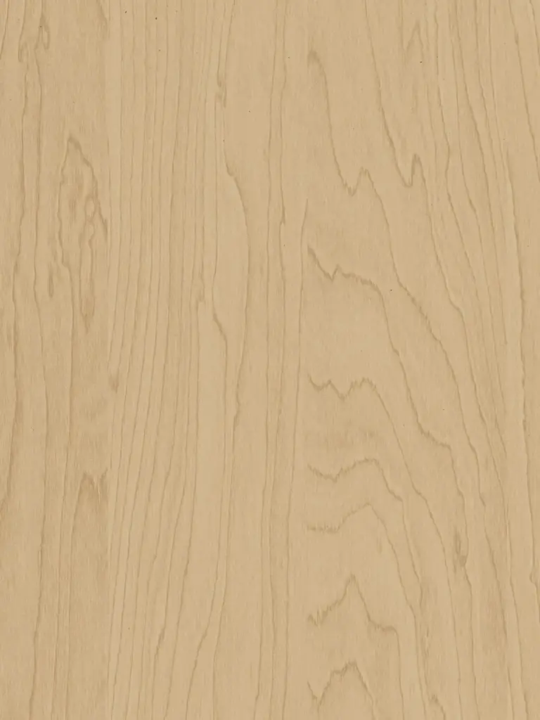 Dekorfolie Gold Birke