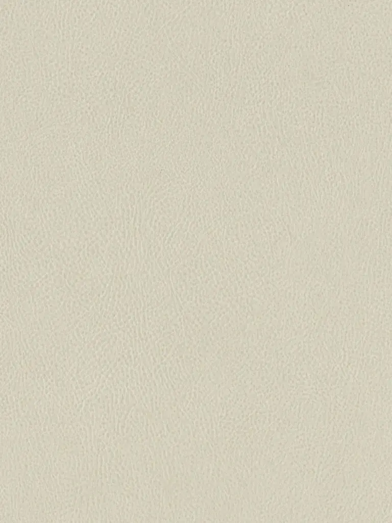 Dekorfolie Hazel Eiche (NK43)