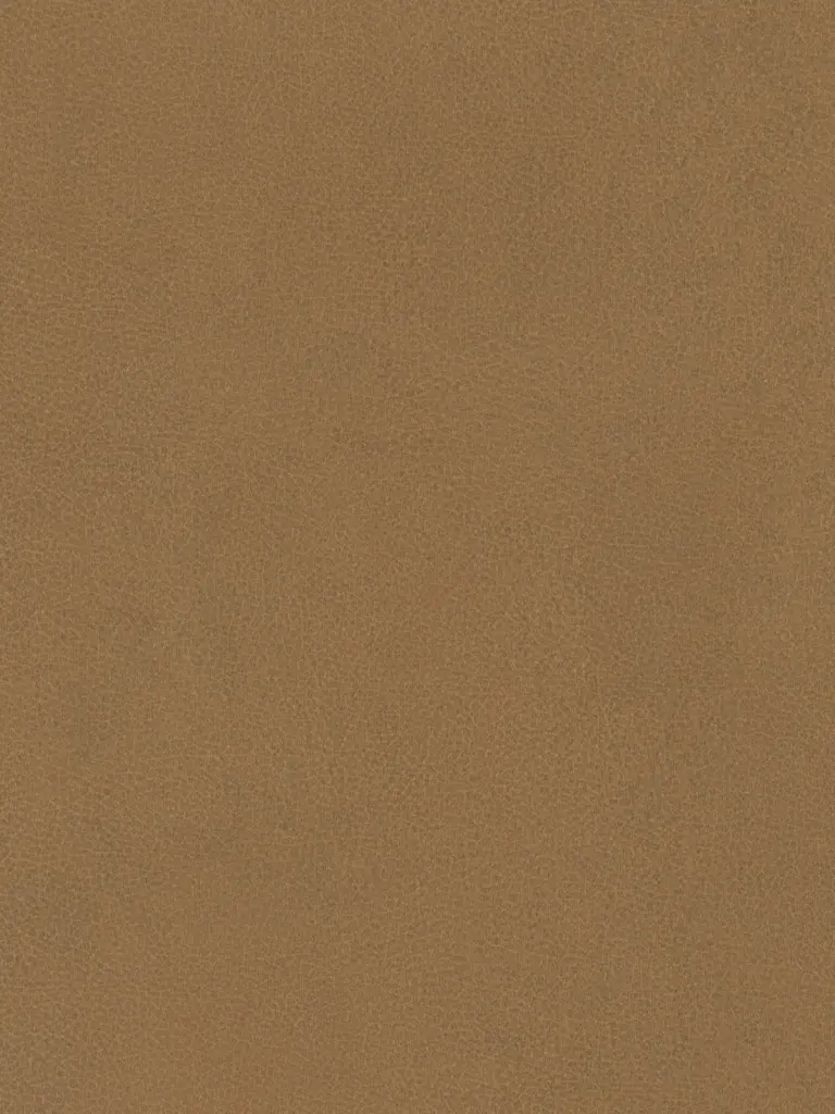 Dekorfolie Camel